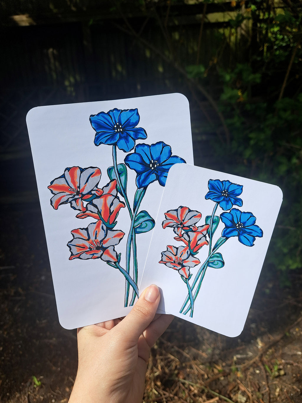 Acrylic Flora - Edition 1