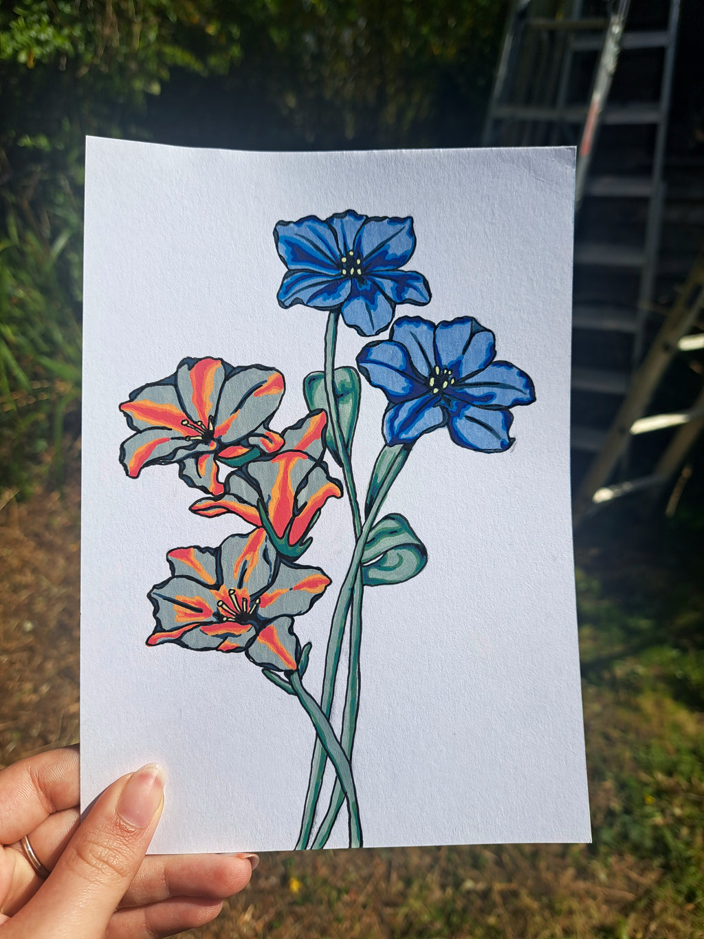 Acrylic Flora - Edition 1