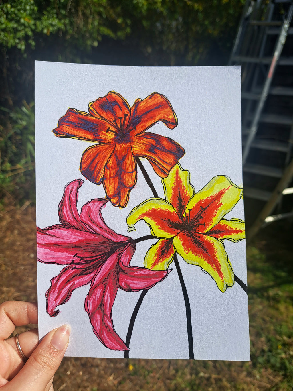 Lilies In Bright