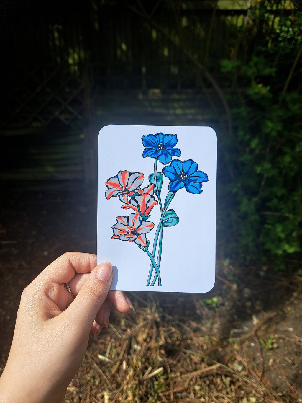 Acrylic Flora - Edition 1