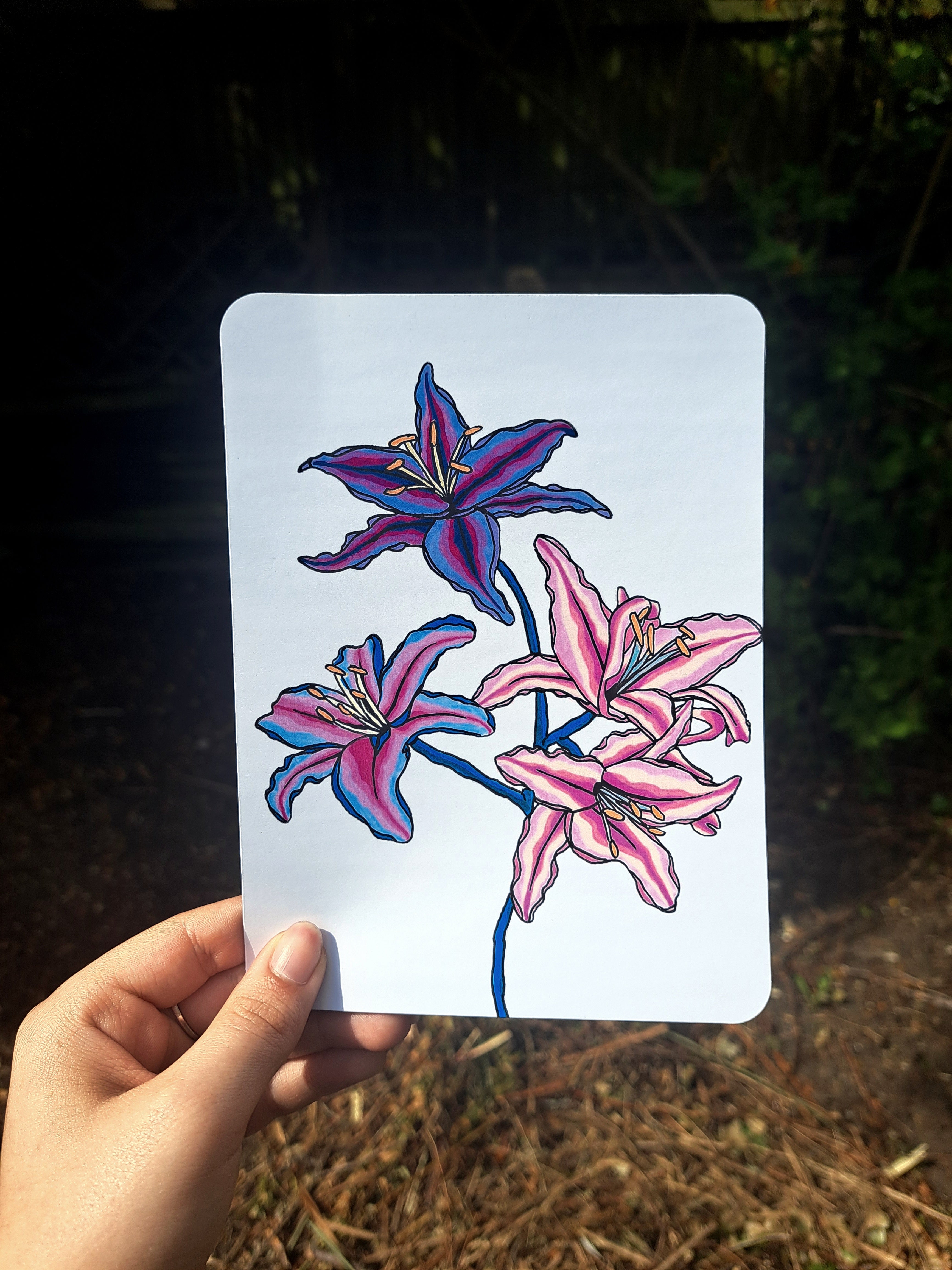 Acrylic Flora - Edition 2